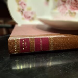 Bogryggen af Victoria Holt's 'Judaskysset' med brun indbinding og røde titelfelter, ved siden af et hvidt tesæt med roser.