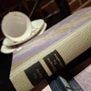 Ryggen af bogen 'Drengene fra Brasilien' af Ira Levin. Beige indbinding med sorte etiketter for forfatter og titel.