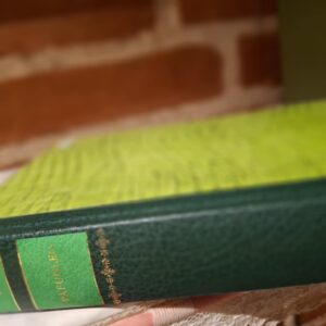 Ryggen af bogen Påfuglen af Victoria Holt, mørkegrøn indbinding med gulddetaljer, står oprejst med murstensvæg i baggrund.