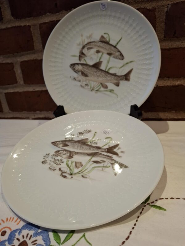 To hvide, runde Bavaria Schumann Arzberg tallerkener i porcelæn med fiskemotiver og reliefkant. Den øverste viser to ørreder, den nederste to hvidfisk.