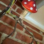 Glasfluesvamp med hvidstribet snor på gren