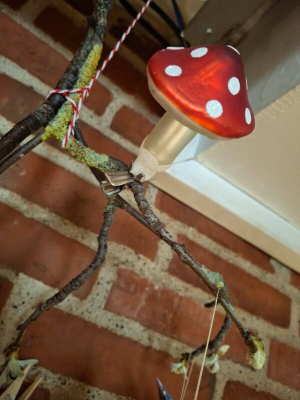 Glasfluesvamp med hvidstribet snor på gren