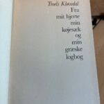 vintage rejsebeskrivelse