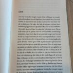 dansk roman