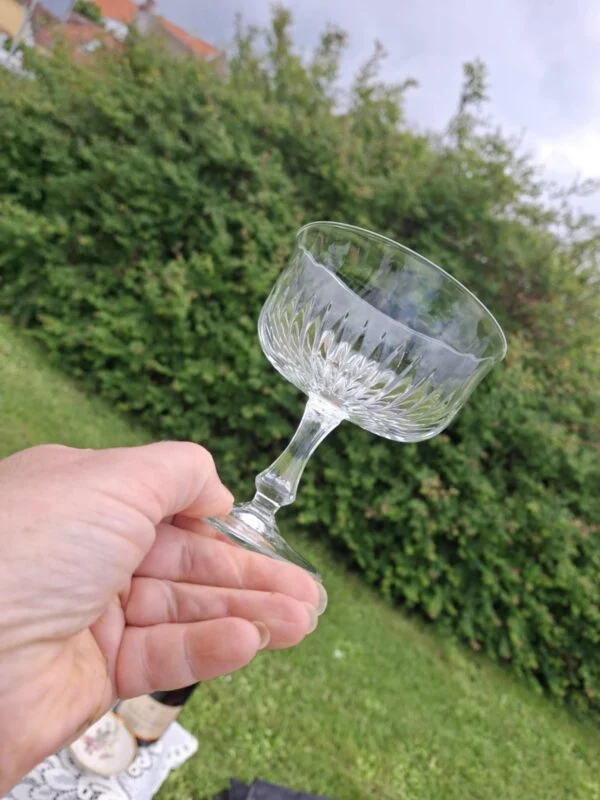 En hånd holder en klar champagneskål skråt, så kummens strålemønster og den korte stilk kan ses mod en grøn hæk.