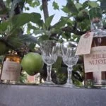 To mønstrede glas på fod mellem to flasker æblemjød med grønne æbler over.