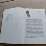 Opslag i Togkapring med kolofon til venstre og kapitlet Steever med en lille nøgleillustration til højre.