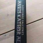 Ryggen af bogen Havets Katedral af Ildefonso Falcones. Teksten er i sølv på en mørkegrøn ryg.