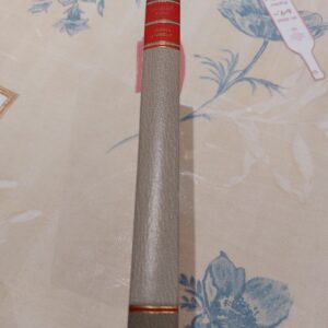 Bogryggen af 'Drama i Cirkus' af Madeleine Brent i grå med rød og gulddetaljer, liggende på et blomstret bord.