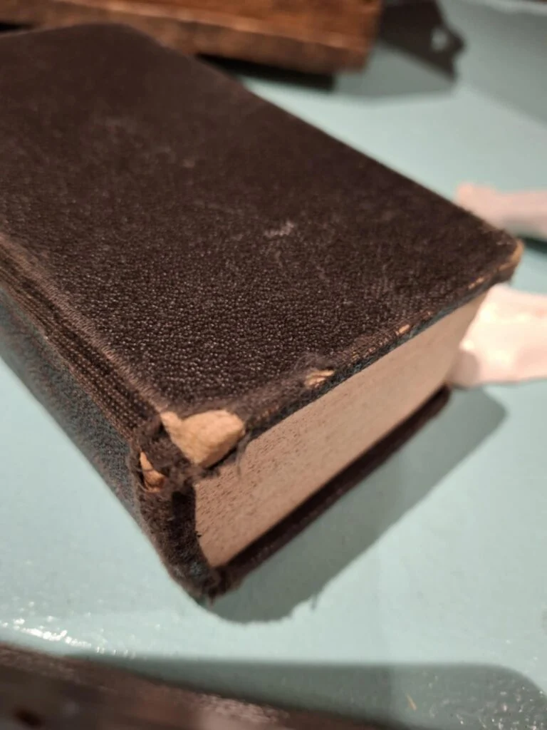 📖 Den Danske Salmebog