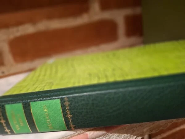 Ryggen af bogen Påfuglen af Victoria Holt, mørkegrøn indbinding med gulddetaljer, står oprejst med murstensvæg i baggrund.