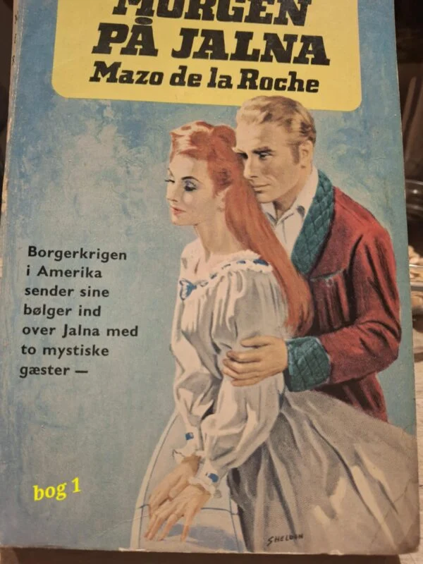 Forsiden af bogen 'Mellem Linjerne' af Johanna Schreiber, der viser en illustration af et hus og to personer med blomster foran ansigtet.
