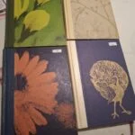 Fire klassiske bøger set fra rygsiden, med titler som 'Mine 1001 Dage', 'Hvem Er Ruth?', 'Farlige Juveler' og 'Gøgeungen' i guldeftertryk.