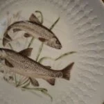 Nærbillede af fisk og grønne vandplanter på en hvid Schumann Arzberg-tallerken med reliefkant