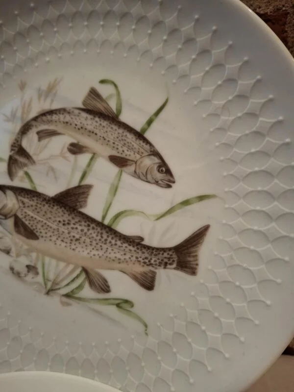 Nærbillede af fisk og grønne vandplanter på en hvid Schumann Arzberg-tallerken med reliefkant