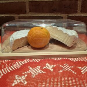 Nærbillede af bagsideteksten på Lise Nørgaards bog 'De sendte en dame', som giver en opsummering af indholdet og forfatterinden.