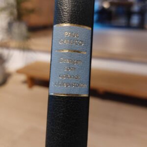 Bogryg af 'Drengen som opfandt boblepistolen' med gyldne bogstaver