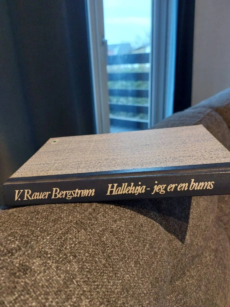 V. Rauer Bergström - Halleluja, jeg er en bums