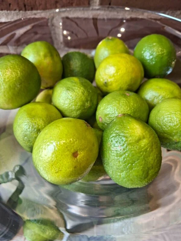 Nærbillede af glasopsats fyldt med limefrugter