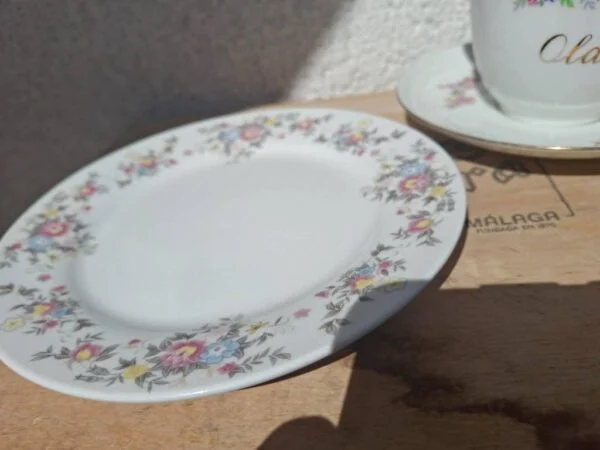 Detaljebillede af Thun porcelænskop og tallerken