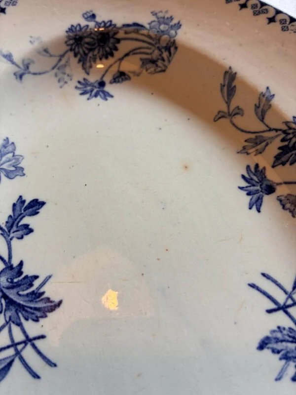 Detaljeret motiv på Erik Sarreguemines fajancefad