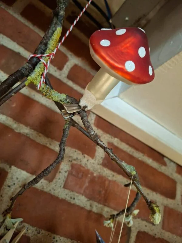 Rød glasfluesvamp med hvide prikker og en metalclips, der griber om en gren.