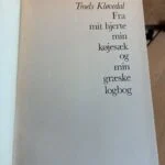 vintage rejsebeskrivelse