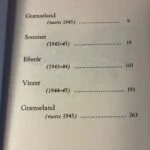 besættelsestid roman