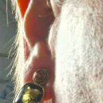 Vintage Clip-On Øreringe med Sort Cabochon og Amber Detalje
