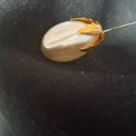 dekorativ hatpin