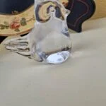 klar glasfugl