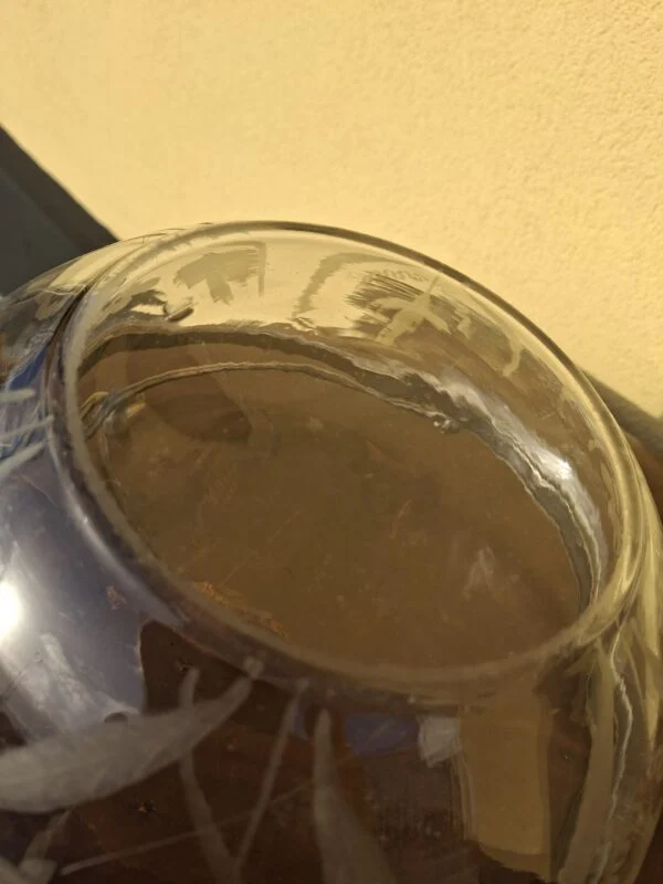 Undersiden af den klare glasskål